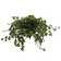 Distinctive Designs 12'' Faux Ivy Plant in Ceramic Planter & Reviews ...