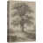 Toile tendue