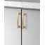 Poignée d'armoire moderne centre-à-centre or de 5 po (128 mm) Hexa Series (paquet de 5)-84039541