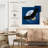 Crowle Midnight Bald Eagle-111903395