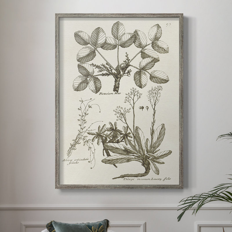 Sepia Botanical Journal VI Framed Print - Solid Wood, 15" H x 12" W