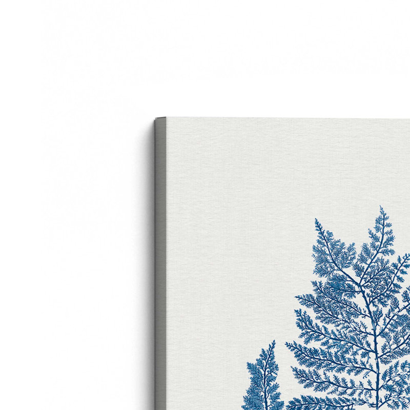 «Nature's Blueprints», ensemble de 2, reproduction sur toile, Toile tendue, H 36 po x l 24 po