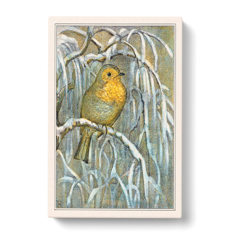 Robin Bird by Theo Van Hoytema - Wrapped Canvas, 50cm H x 35cm W x 3cm D