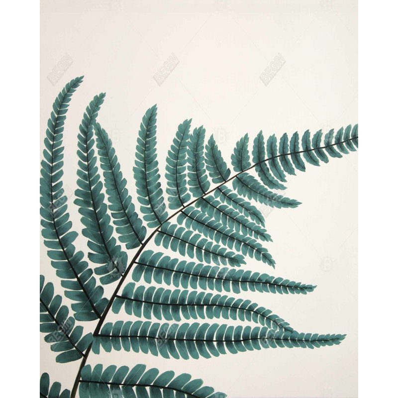 Fern Print On Canvas