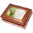 Plastic Memory Box