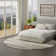 Corel Indoor Rug