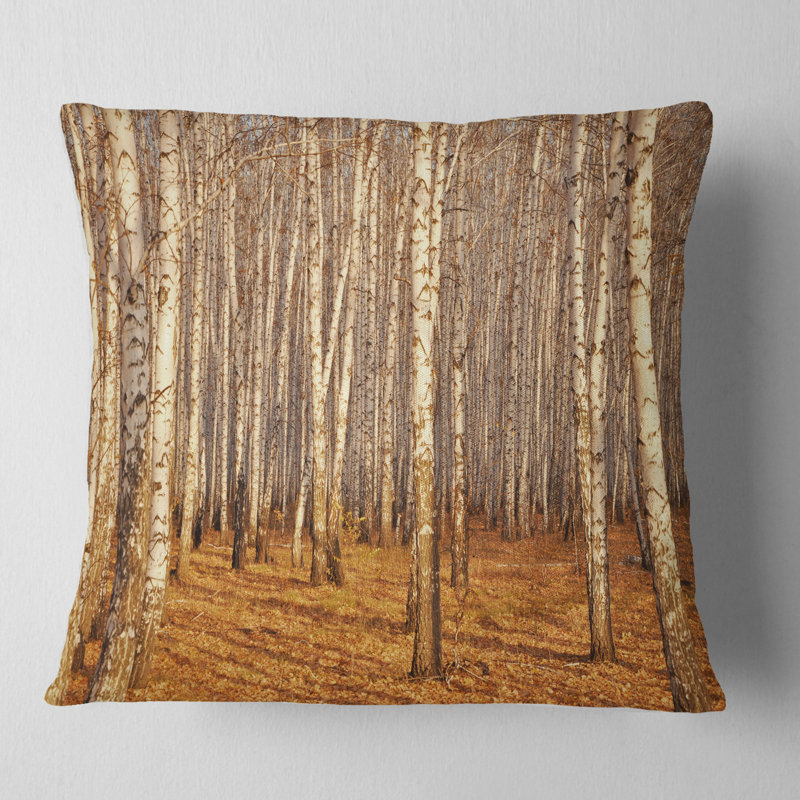 Dense Birch Forest in the Fall - Forest Printed Pillow, Throw Pillow, 16" x 16"
