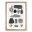 Collection of Fossils by Oliver Goldsmith - Framed Print-57864526-57864527