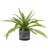 12'' Faux Fern Plant Plant in Pot