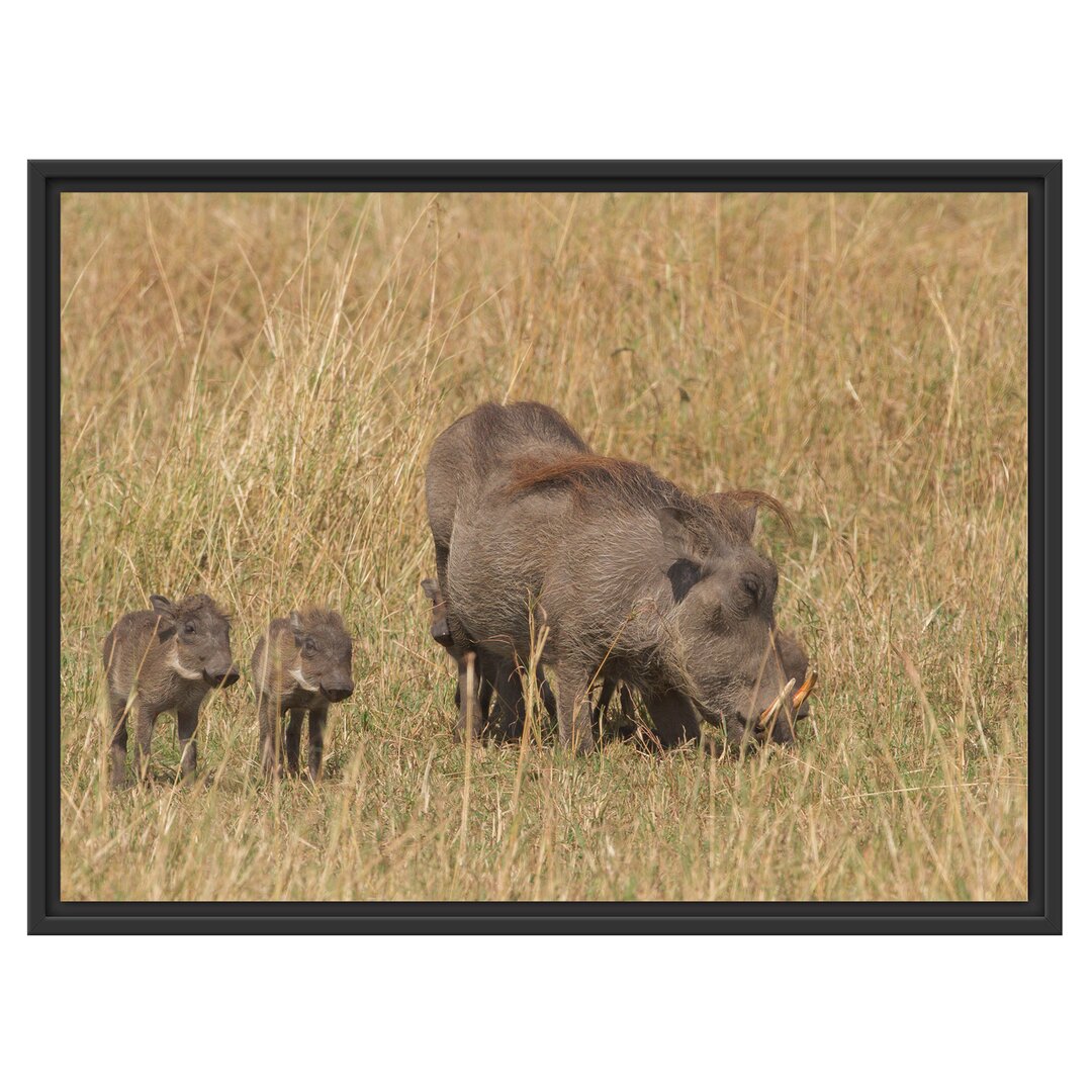 Gerahmtes Wandbild Warzenschweinfamilie Savanne