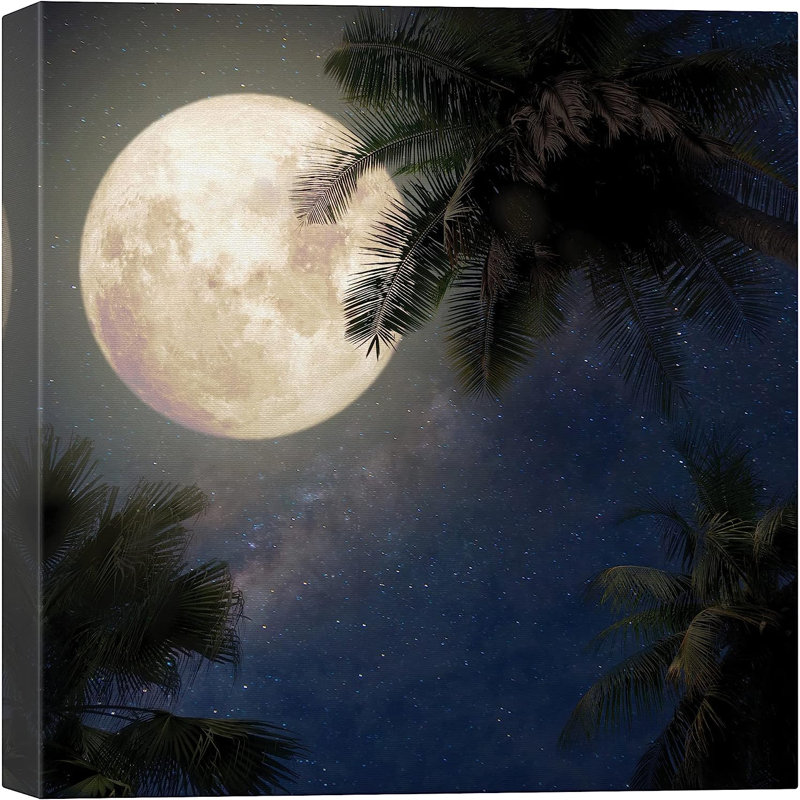 Pleine lune et étoiles sur des palmiers de la jungle tropicale sur toile, H 16 po x l 16 po x P 1,5 po