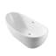 67'' x 28'' Freestanding Soaking Acrylic Bathtub