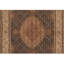 Wool Oriental Area Rug in Green