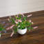 5 po Mini boîte à fleurs artificielle lavande artificielle blanche en lot de 3