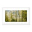 Glittering Trees Print by Geoffrey Baris-48618021-48618024