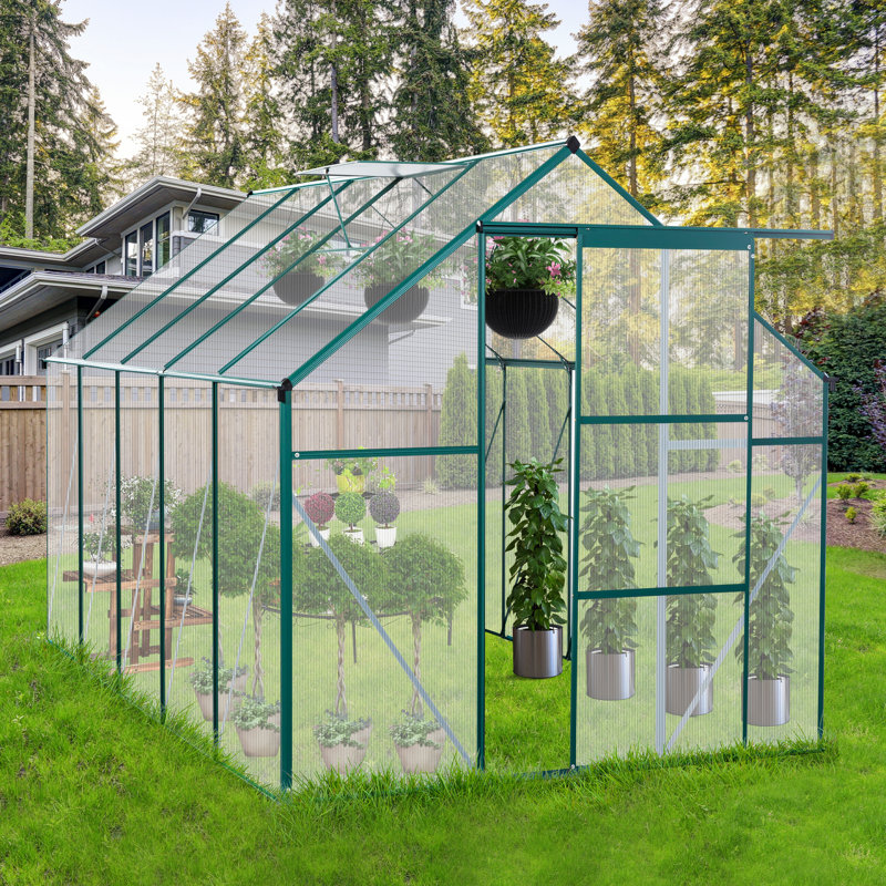 Serre toutes saisons de 6 x 10 pi avec panneau en polycarbonate pour panneaux de plantes de croissance de fleurs pour l'extérieur