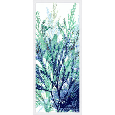 Coral Panel 2 Print