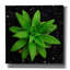«The Green Bloom Crop» par Epic Portfolio, estampe numérique sur toile-55011063