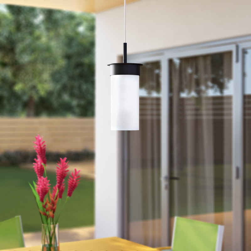 Luminaire suspendu d'extérieur à 1 ampoule Zakrzewski, Gravée / noire, H 9,13 po x l 5 po x P 5 po