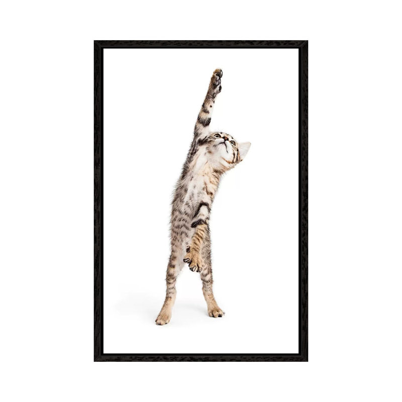 Playful Kitten Standing Reaching One Paw 1 Piece Wall Art on Canvas, 101.6 cm H x 66.04 cm W, Black Framed