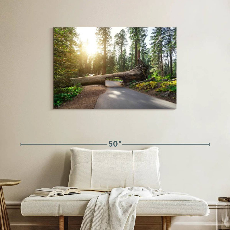 Mehar Sequoia Log Tunnel Road, 26" H x 39" W