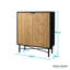 Accent Cabinet