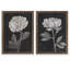 «Black and White Flowers III», ensemble de 2 reproductions d'art encadrées-1201688119-1201688076-1201688079