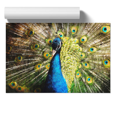 Peacock Painting - Frameless Print