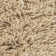 Noely Wool Area Rug in Tan