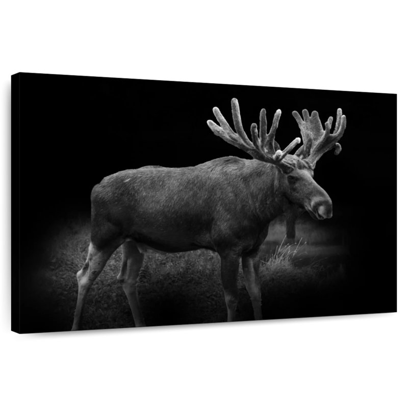 Monochromatic Bull Moose, 8" H x 12" W