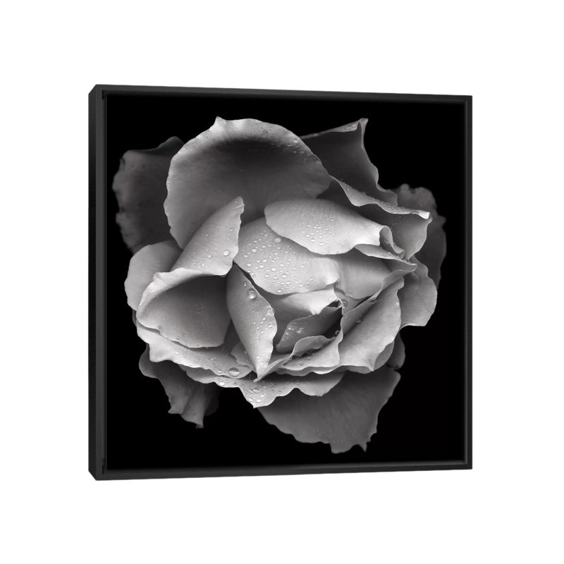 « saumon rose vii, b&w » par magda indigo, reproduction d’art sur toile, H 18 po x l 18 po x P 1,5 po, Toile avec cadre noir