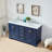 Terti 60'' Double Bathroom Vanity with Marble Top