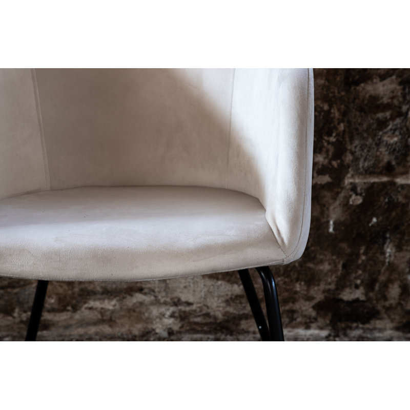 Dolson 49cm H Upholstered Armchair, White