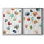 «Lollipop Garden I», ensemble de 2 impressions-792062885-791897404-726507555