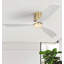 Ventilateur de plafond à profil bas 52 pouces Pc 3-325862656-325862668