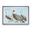 « molle brown pelican iii » par paul cezanne-photo, reproduction d’art encadrée-1211758165-1211758162