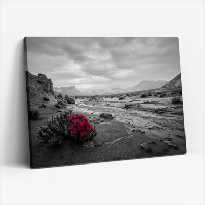 Ensemble de 1 tableau sur toile Desert Bloom