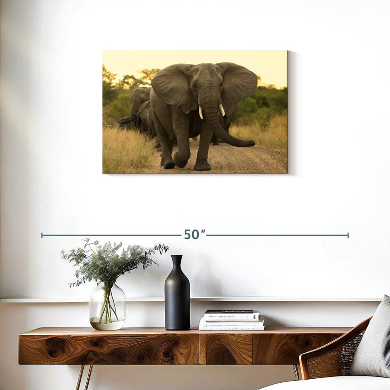 Brampt The Elephant Walk, H 20 po x l 30 po