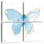 Papillons dorés Brampt III-109086862
