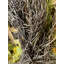 Couronne en polyester 20 po