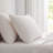 Martha Stewart Cotton Percale  Sheet Set-123293192-115629658