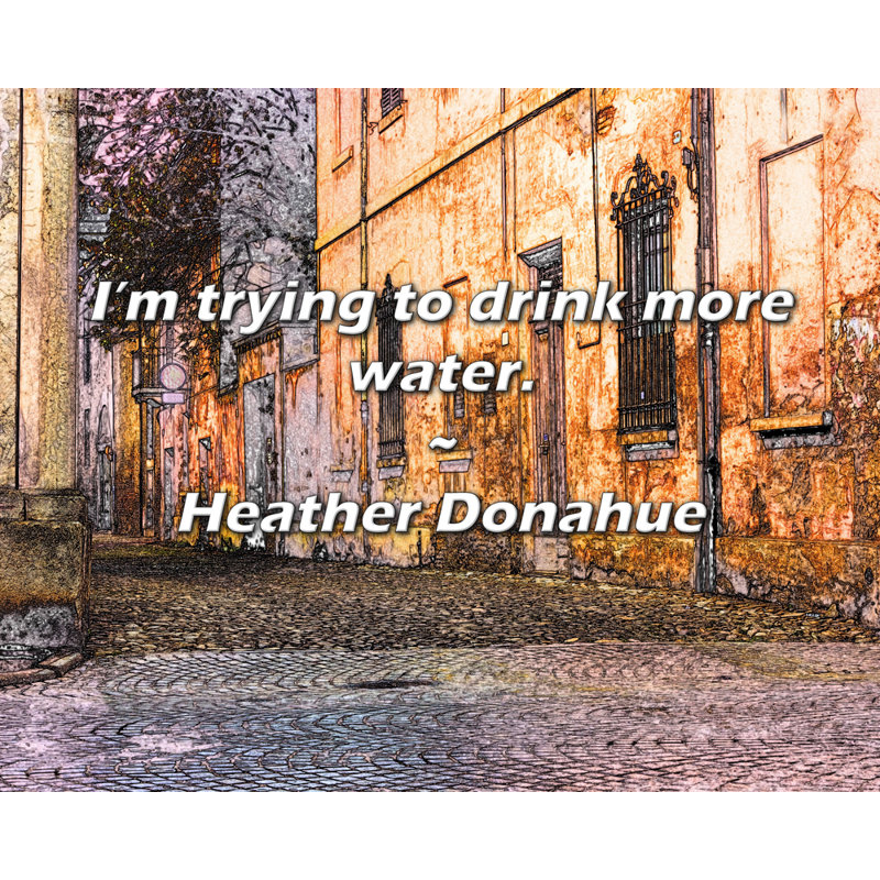 Heather Donahue Quote: I’m trying to drink more water., 20" H x 24" W