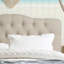 Tête de lit capitonnée et capitonnée, tête de lit en bois massif avec pieds en bois, tête de lit à hauteur réglable de 34 po à 43 po, tête de lit en tissu au design moderne-579008696-579008701