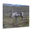 No Frame Print on Canvas-746242617