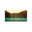 Memories Of Trees Print-26945511-26945512