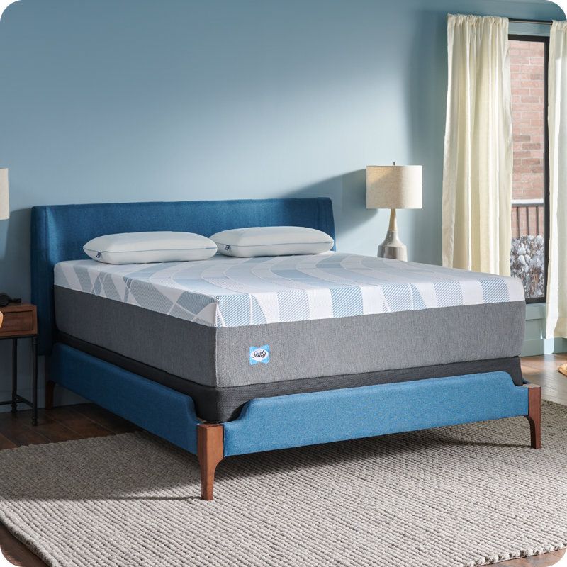 Sealy Dreamlife 14” Plush Foam Mattress-in-a-Box, Twin XL