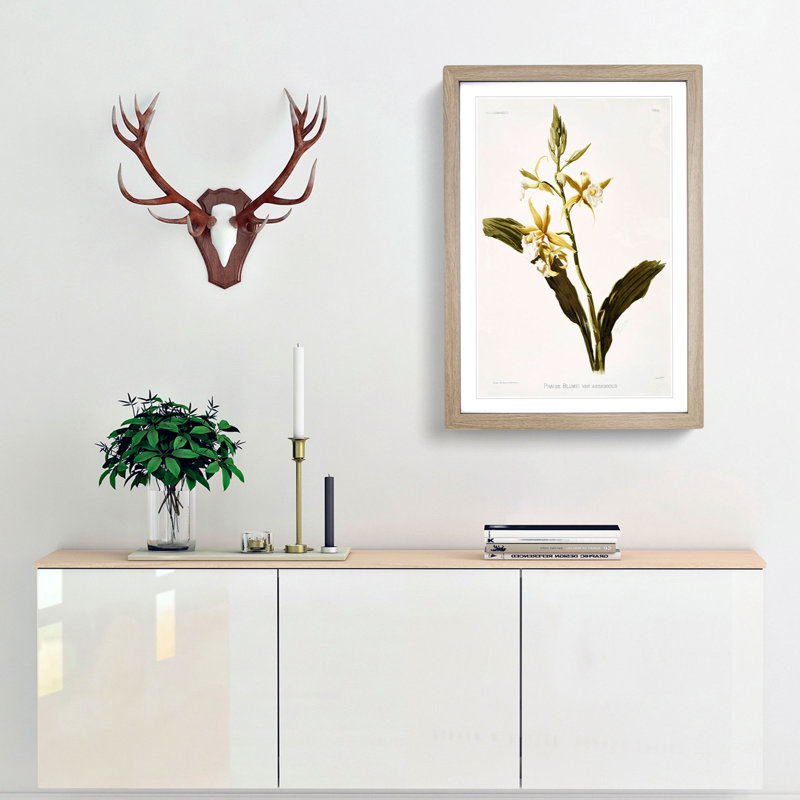 Magnolia Flowers Illustration Tab. 69 by Frederick Sander - Picture Frame Painting Print, 60cm H x 40cm W x 2cm D, Oak