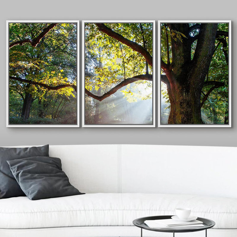 Décoration murale moderne Mighty Oak Tree, H 24 po x l 48 po, Cadre flottant blanc