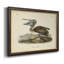 Toile de qualité supérieure Audubons Brown Pelican - prête à être accrochée-2143803644
