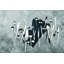 STILE By PININARINA Stainless Steel Cake Server